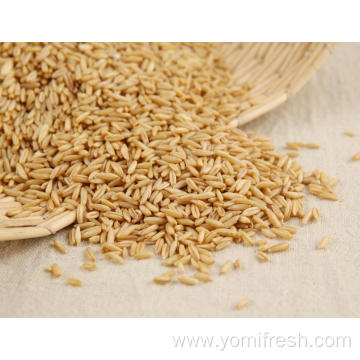 Oat Rice Recipe